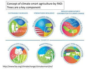 Concept of climate smart agriculture by FAO:
    Trees are a key component




http://www.fao.org/climatechange/climatesma...