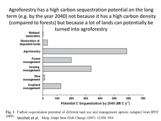 Agroforestry has a high carbon sequestration potential on the long
term (e.g. by the year 2040) not because it has a high ...