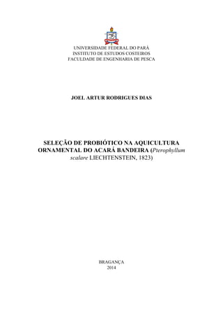 UNIVERSIDADE FEDERAL DO PARÁ
INSTITUTO DE ESTUDOS COSTEIROS
FACULDADE DE ENGENHARIA DE PESCA
JOEL ARTUR RODRIGUES DIAS
SELEÇÃO DE PROBIÓTICO NA AQUICULTURA
ORNAMENTAL DO ACARÁ BANDEIRA (Pterophyllum
scalare LIECHTENSTEIN, 1823)
BRAGANÇA
2014
 