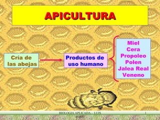 APICULTURA BIOLOGIA APLICADA -  LUIS ROSSI Cría de las abejas Productos de  uso humano Miel Cera Propoleo Polen Jalea Real Veneno 