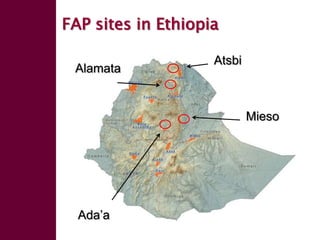 Enhancing livelihoods of poor livestock keepers through increasing use of fodder: Ethiopia Report on Output 1 - Mechanisms for strengthening and/or establishing multi-stakeholder alliances that enable scaling up and out of fodder technologies