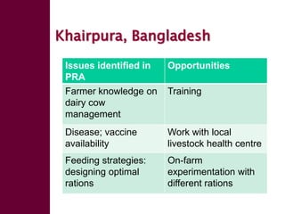 Enhancing livelihoods of poor livestock keepers through increasing use of fodder: Ethiopia Report on Output 2 - Options for effective delivery systems