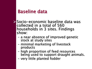 Enhancing livelihoods of poor livestock keepers through increasing use of fodder: Ethiopia Report on Output 2 - Options for effective delivery systems