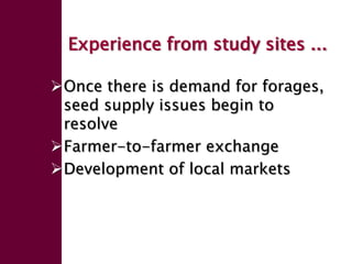 Enhancing livelihoods of poor livestock keepers through increasing use of fodder: Ethiopia Report on Output 2 - Options for effective delivery systems