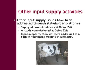 Enhancing livelihoods of poor livestock keepers through increasing use of fodder: Ethiopia Report on Output 2 - Options for effective delivery systems