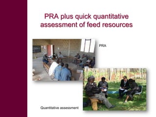 Enhancing livelihoods of poor livestock keepers through increasing use of fodder: Ethiopia Report on Output 2 - Options for effective delivery systems