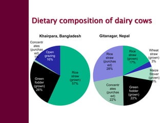Enhancing livelihoods of poor livestock keepers through increasing use of fodder: Ethiopia Report on Output 2 - Options for effective delivery systems