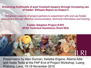 Enhancing livelihoods of poor livestock keepers through increasing use of fodder: Ethiopia Report on Output 3 Enhanced capacity of project partners to experiment with and use fodder innovations through effective communication, technical information and training Fodder Adoption Project (FAP)(IFAD Technical Assistance Grant 853) Presentation by Alan Duncan, Kebebe Ergano, Aberra Adie and Abate Tedla at the FAP End of Project Workshop, LuangPrabang, Laos, 15-19 November 2010 