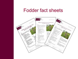 Enhancing livelihoods of poor livestock keepers through increasing use of fodder: Ethiopia Report on Output 3 - Enhanced capacity of project partners to experiment with and use fodder innovations through communication, technical information & training