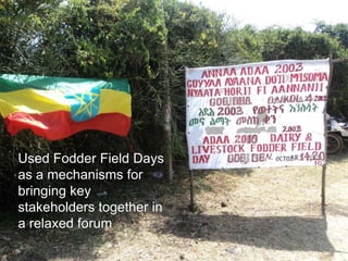 Enhancing livelihoods of poor livestock keepers through increasing use of fodder: Ethiopia Report on Output 3 - Enhanced capacity of project partners to experiment with and use fodder innovations through communication, technical information & training