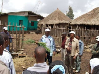 Enhancing livelihoods of poor livestock keepers through increasing use of fodder: Ethiopia Report on Output 3 - Enhanced capacity of project partners to experiment with and use fodder innovations through communication, technical information & training