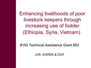 Enhancing livelihoods of poor livestock keepers through increasing use of fodder (Ethiopia, Syria, Vietnam)   IFAD Technic...