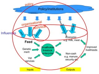 Enhancing livelihoods of poor livestock keepers through increasing use of fodder: Project Overview