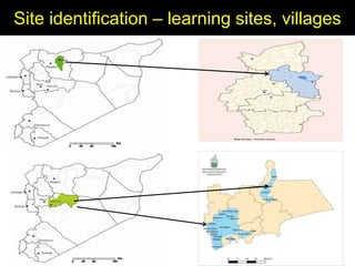 Enhancing livelihoods of poor livestock keepers through increasing use of fodder: Syria Report on Project Output 1 - Mechanisms for strengthening and/or establishing  multi-stakeholder alliances  that enable scaling up and out of fodder technologies