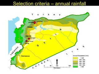 Enhancing livelihoods of poor livestock keepers through increasing use of fodder: Syria Report on Project Output 1 - Mechanisms for strengthening and/or establishing  multi-stakeholder alliances  that enable scaling up and out of fodder technologies