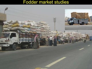 Enhancing livelihoods of poor livestock keepers through increasing use of fodder: Syria Report on Project Output 1 - Mechanisms for strengthening and/or establishing  multi-stakeholder alliances  that enable scaling up and out of fodder technologies