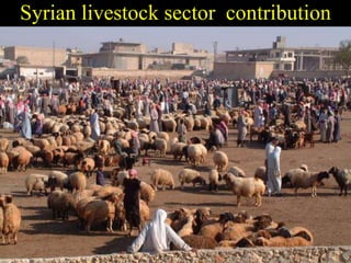 Enhancing livelihoods of poor livestock keepers through increasing use of fodder: Syria Report on Project Output 1 - Mechanisms for strengthening and/or establishing  multi-stakeholder alliances  that enable scaling up and out of fodder technologies