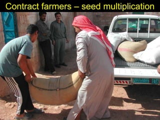 Enhancing livelihoods of poor livestock keepers through increasing use of fodder: Syria Report on Project Output 2  - Options for effective delivery systems  including innovative communication strategies  and on-farm fodder interventions to improve fodder