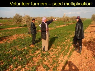 Enhancing livelihoods of poor livestock keepers through increasing use of fodder: Syria Report on Project Output 2  - Options for effective delivery systems  including innovative communication strategies  and on-farm fodder interventions to improve fodder