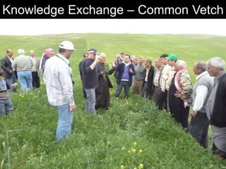 Enhancing livelihoods of poor livestock keepers through increasing use of fodder: Syria Report on Project Output 2  - Options for effective delivery systems  including innovative communication strategies  and on-farm fodder interventions to improve fodder