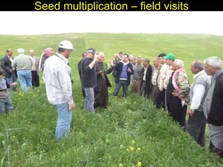 Enhancing livelihoods of poor livestock keepers through increasing use of fodder: Syria Report on Project Output 2  - Options for effective delivery systems  including innovative communication strategies  and on-farm fodder interventions to improve fodder