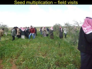 Enhancing livelihoods of poor livestock keepers through increasing use of fodder: Syria Report on Project Output 2  - Options for effective delivery systems  including innovative communication strategies  and on-farm fodder interventions to improve fodder