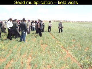 Enhancing livelihoods of poor livestock keepers through increasing use of fodder: Syria Report on Project Output 2  - Options for effective delivery systems  including innovative communication strategies  and on-farm fodder interventions to improve fodder