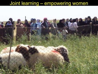 Enhancing livelihoods of poor livestock keepers through increasing use of fodder: Syria Report on Project Output 3 - Enhanced capacity of project partners  to experiment with the use of fodder innovations  through effective communication, technical inform