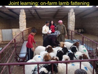 Enhancing livelihoods of poor livestock keepers through increasing use of fodder: Syria Report on Project Output 3 - Enhanced capacity of project partners  to experiment with the use of fodder innovations  through effective communication, technical inform