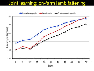 Enhancing livelihoods of poor livestock keepers through increasing use of fodder: Syria Report on Project Output 3 - Enhanced capacity of project partners  to experiment with the use of fodder innovations  through effective communication, technical inform
