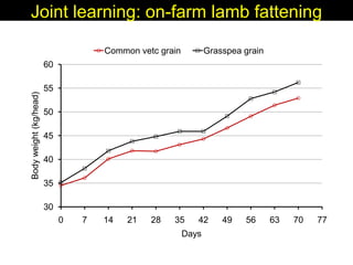 Enhancing livelihoods of poor livestock keepers through increasing use of fodder: Syria Report on Project Output 3 - Enhanced capacity of project partners  to experiment with the use of fodder innovations  through effective communication, technical inform