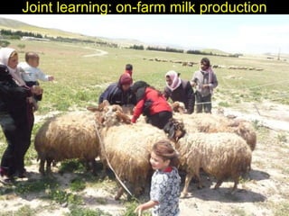 Enhancing livelihoods of poor livestock keepers through increasing use of fodder: Syria Report on Project Output 3 - Enhanced capacity of project partners  to experiment with the use of fodder innovations  through effective communication, technical inform