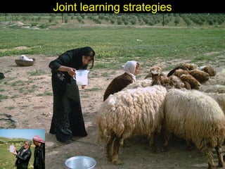 Enhancing livelihoods of poor livestock keepers through increasing use of fodder: Syria Report on Project Output 3 - Enhanced capacity of project partners  to experiment with the use of fodder innovations  through effective communication, technical inform