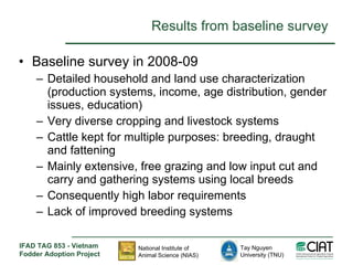 Enhancing livelihoods of poor livestock keepers through increasing use of fodder: Vietnam Report on Project Output 1 - Mechanisms for strengthening and/or establishing multi-stakeholder alliances that enable scaling up and out of fodder technologies