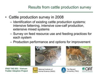 Enhancing livelihoods of poor livestock keepers through increasing use of fodder: Vietnam Report on Project Output 1 - Mechanisms for strengthening and/or establishing multi-stakeholder alliances that enable scaling up and out of fodder technologies