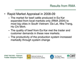 Enhancing livelihoods of poor livestock keepers through increasing use of fodder: Vietnam Report on Project Output 1 - Mechanisms for strengthening and/or establishing multi-stakeholder alliances that enable scaling up and out of fodder technologies