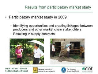 Enhancing livelihoods of poor livestock keepers through increasing use of fodder: Vietnam Report on Project Output 1 - Mechanisms for strengthening and/or establishing multi-stakeholder alliances that enable scaling up and out of fodder technologies