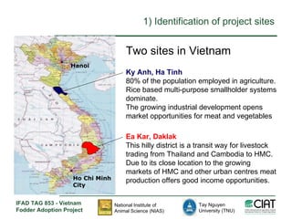 Enhancing livelihoods of poor livestock keepers through increasing use of fodder: Vietnam Report on Project Output 1 - Mechanisms for strengthening and/or establishing multi-stakeholder alliances that enable scaling up and out of fodder technologies