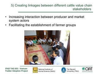 Enhancing livelihoods of poor livestock keepers through increasing use of fodder: Vietnam Report on Project Output 1 - Mechanisms for strengthening and/or establishing multi-stakeholder alliances that enable scaling up and out of fodder technologies