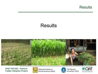 Enhancing livelihoods of poor livestock keepers through increasing use of fodder: Vietnam Report on Project Output 1 - Mechanisms for strengthening and/or establishing multi-stakeholder alliances that enable scaling up and out of fodder technologies