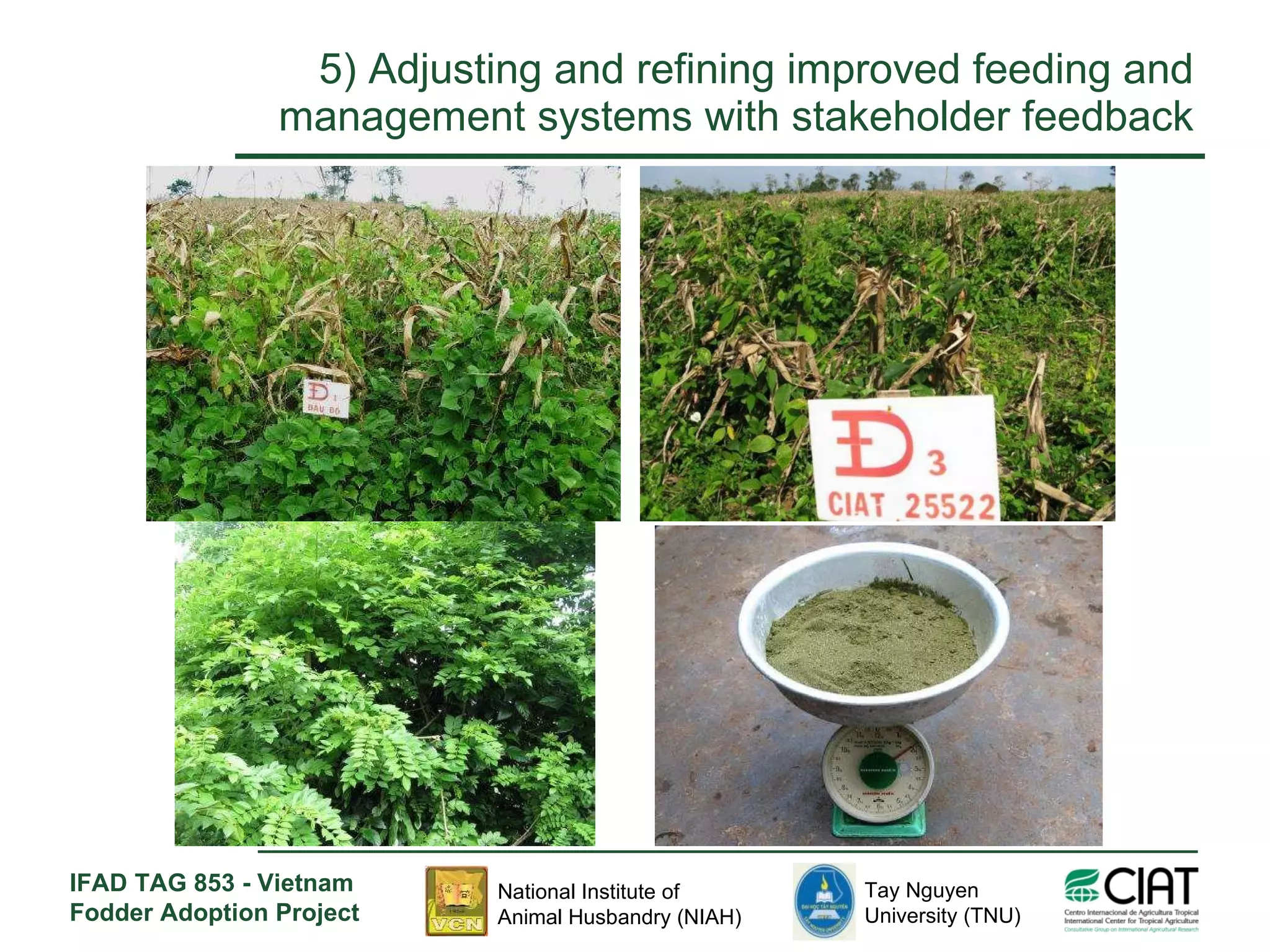5)  Adjusting and refining improved feeding and management systems with stakeholder feedback 