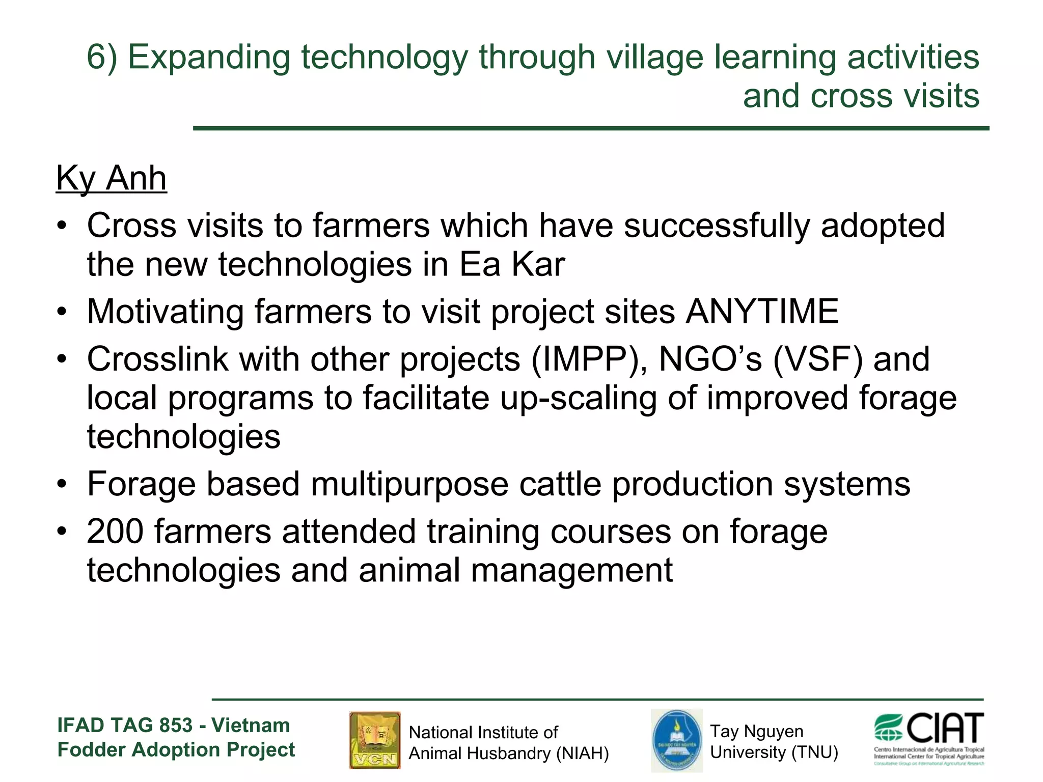 6)  Expanding technology through village learning activities and cross visits Ky Anh Cross visits to farmers which have successfully adopted the new technologies in Ea Kar Motivating farmers to visit project sites ANYTIME Crosslink with other projects (IMPP), NGO’s (VSF) and local programs to facilitate up-scaling of improved forage technologies Forage based multipurpose cattle production systems 200 farmers attended training courses on forage technologies and animal management 