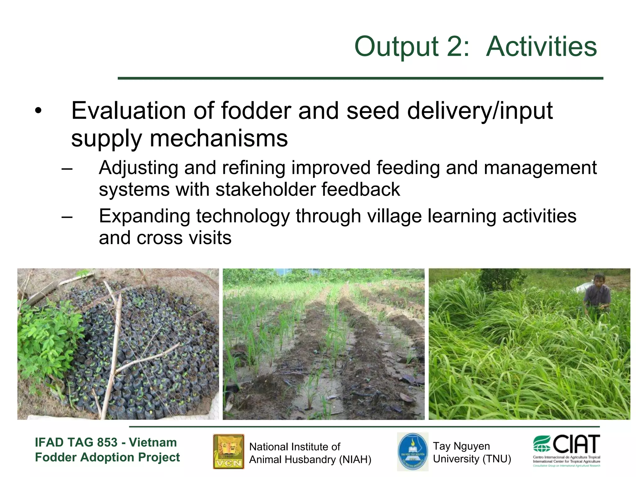 Output 2:  Activities Evaluation of fodder and seed delivery/input supply mechanisms Adjusting and refining improved feeding and management systems with stakeholder feedback Expanding technology through village learning activities and cross visits 