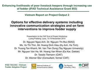 Options for effective delivery systems including innovative communication strategies and on farm interventions to improve fodder supply Dr. Nguyen Ngoc Anh, Dr. Nguyen Thi Mui (NIAS) Ms. Vo Thi Thin, Mr. Hoang Dinh Hieu (Ky Anh, Ha Tinh) Dr. Truong Tan Khanh, Mr. Van Tien Dung (Tay Nguyen University) Mr. Nguyen Van Ha, Mr. Hoang Van Nhien ( Ea Kar, Daklak) Dr. Tassilo Tiemann (CIAT)  Dr. Werner Stür (Consultant, former CIAT) Enhancing livelihoods of poor livestock keepers through increasing use of fodder (IFAD Technical Assistance Grant 853) Vietnam Report on Project Output 2 Presentation to the FAP End of Project Workshop Luang Prabang, Laos, 15-19 November 2010 