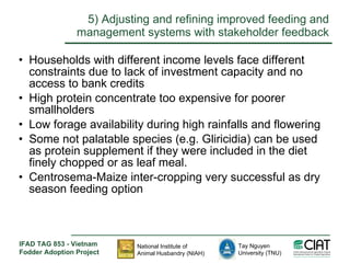 Enhancing livelihoods of poor livestock keepers through increasing use of fodder: Vietnam Report on Project Output 2 - Options for effective delivery systems including innovative communication strategies and on farm interventions to improve fodder supply