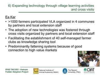 Enhancing livelihoods of poor livestock keepers through increasing use of fodder: Vietnam Report on Project Output 2 - Options for effective delivery systems including innovative communication strategies and on farm interventions to improve fodder supply