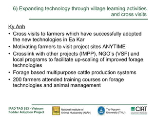Enhancing livelihoods of poor livestock keepers through increasing use of fodder: Vietnam Report on Project Output 2 - Options for effective delivery systems including innovative communication strategies and on farm interventions to improve fodder supply