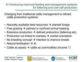 Enhancing livelihoods of poor livestock keepers through increasing use of fodder: Vietnam Report on Project Output 2 - Options for effective delivery systems including innovative communication strategies and on farm interventions to improve fodder supply