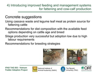 Enhancing livelihoods of poor livestock keepers through increasing use of fodder: Vietnam Report on Project Output 2 - Options for effective delivery systems including innovative communication strategies and on farm interventions to improve fodder supply