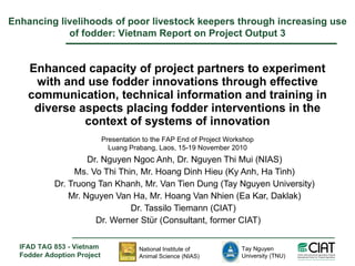 Enhanced capacity of project partners to experiment with and use fodder innovations through effective communication, technical information and training in diverse aspects placing fodder interventions in the context of systems of innovation Dr. Nguyen Ngoc Anh, Dr. Nguyen Thi Mui (NIAS) Ms. Vo Thi Thin, Mr. Hoang Dinh Hieu (Ky Anh, Ha Tinh) Dr. Truong Tan Khanh, Mr. Van Tien Dung (Tay Nguyen University) Mr. Nguyen Van Ha, Mr. Hoang Van Nhien ( Ea Kar, Daklak) Dr. Tassilo Tiemann (CIAT)  Dr. Werner Stür (Consultant, former CIAT) Enhancing livelihoods of poor livestock keepers through increasing use of fodder: Vietnam Report on Project Output 3 Presentation to the FAP End of Project Workshop Luang Prabang, Laos, 15-19 November 2010 